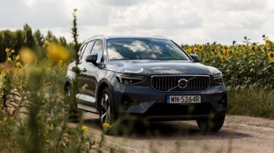 Volvo XC40 na tle słoneczników